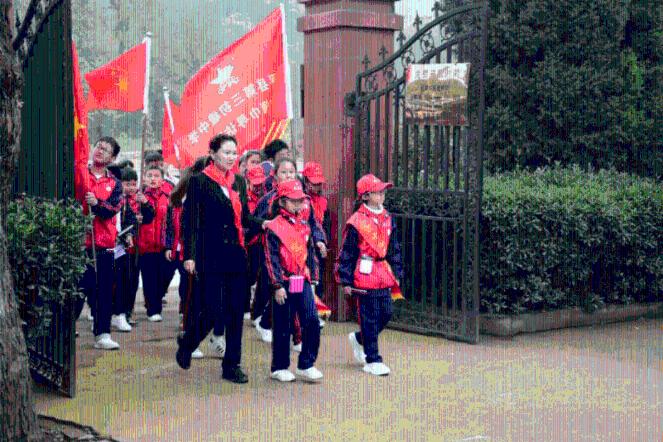小灵芝开出乡村振兴“致富花” 专家共话灵芝新未来